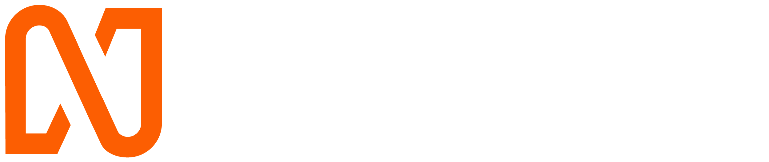 Netcore